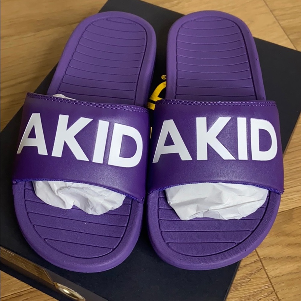 AKID slides - Picture 2 of 5